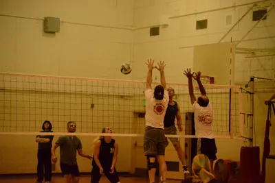 DSC_1703 (Large).JPG